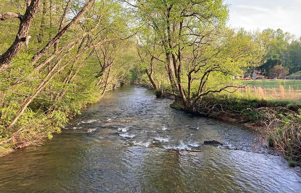 Discovering History and Nature: A Riverwalk along the Hardman Farm Heritage Trail | Easy (all ages) 1.5 miles
