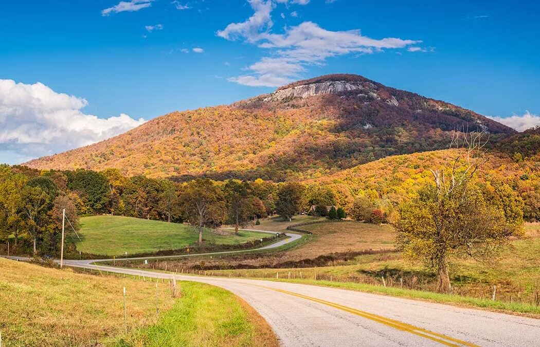 Summiting Mount Yonah: A Challenging Hike to Reach Spectacular Views with Certified Mushroom Forager | Hard (4.5 miles)